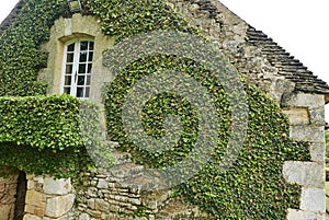 Jardin du Manoir dÃ¢â¬â¢Eyrignac photo